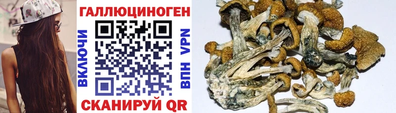 Псилоцибиновые грибы ЛСД  Купить  Артёмовский 